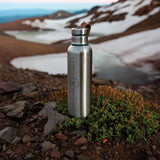 Stainless Steel 500ml Bottle